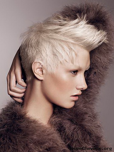 image-cheveux-court-femme-67-11 Image cheveux court femme