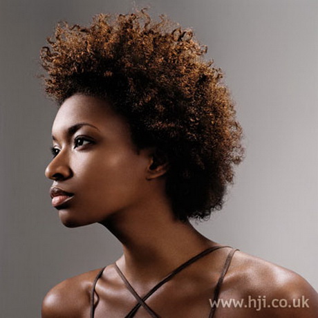 model-coiffure-afro-64_15 Model coiffure afro