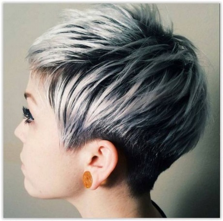 coiffure-cheveux-gris-48_15 Coiffure cheveux gris