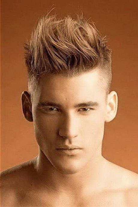 masculin-coiffure-48_15 Masculin coiffure