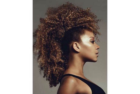 modele-de-coiffure-afro-12_3 Modele de coiffure afro