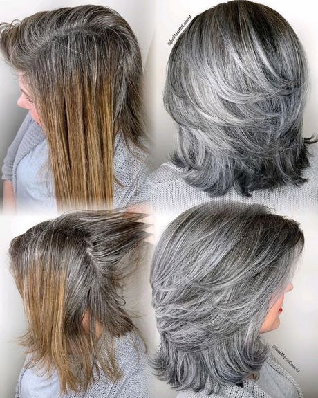 cheveux-gris-long-femme-64_17 Cheveux gris long femme