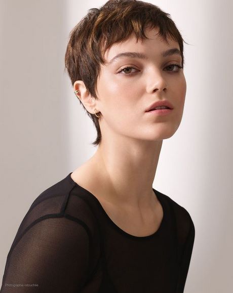 coupe-cheveux-androgyne-35_12 Coupe cheveux androgyne