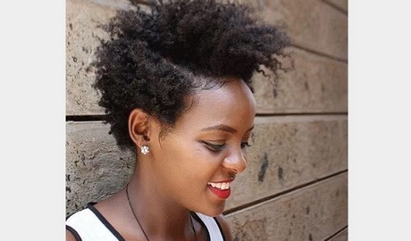 ide-de-coiffure-afro-99_9 Idée de coiffure afro