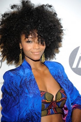 les-plus-belles-coiffures-afro-americaines-52_2 Les plus belles coiffures afro americaines