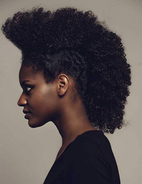 nouvelle-coiffure-afro-americaine-13_9 Nouvelle coiffure afro americaine