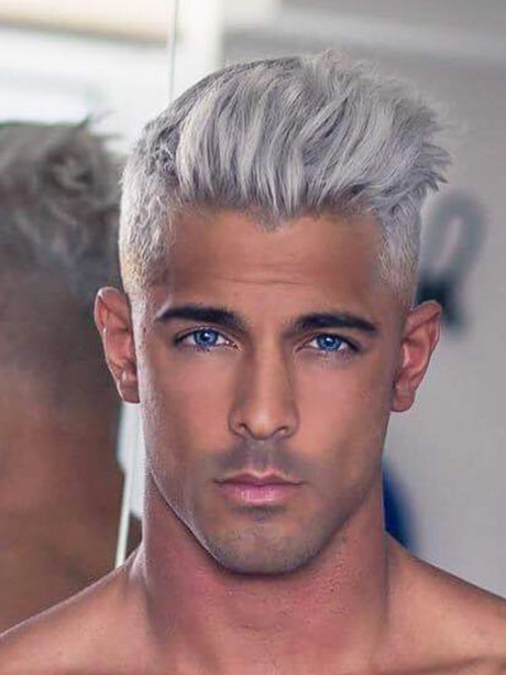 cheveux-gris-homme-court-69 Cheveux gris homme court