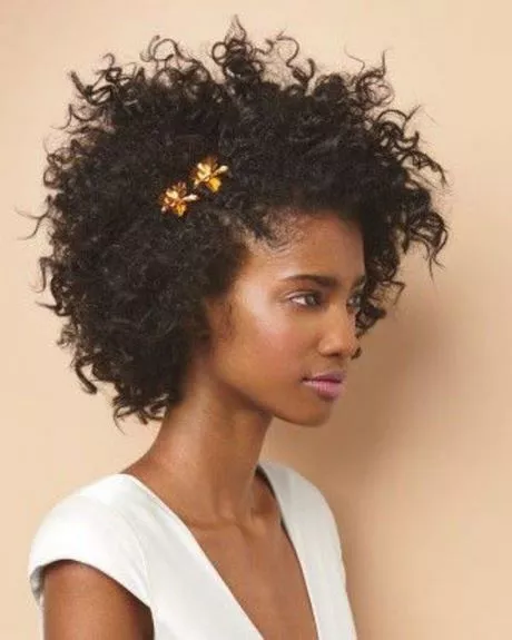 coiffure-afro-femme-2024-04_9-14 Coiffure afro femme 2024